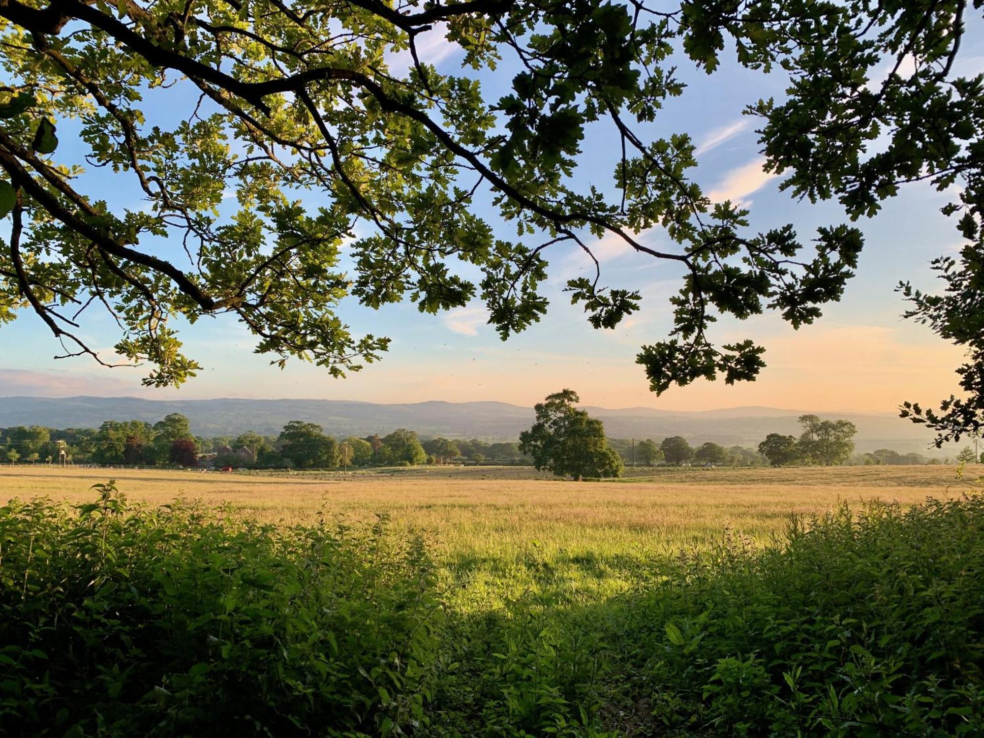 The Barn At Plas Ashpool Sleeps 8 Llandyrnog 외부 사진