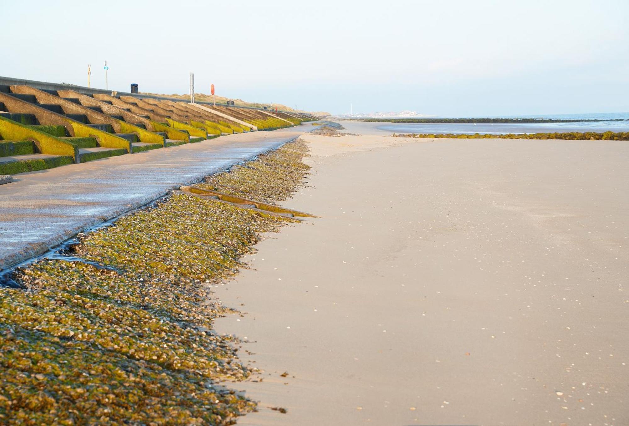 The Barn At Plas Ashpool Sleeps 8 Llandyrnog 외부 사진